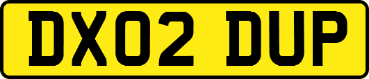 DX02DUP