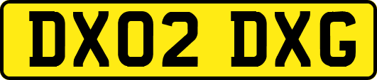 DX02DXG