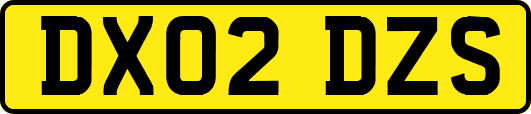 DX02DZS