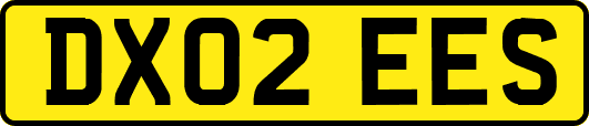 DX02EES