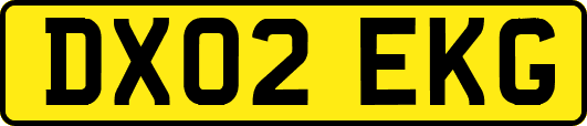 DX02EKG