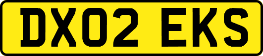 DX02EKS