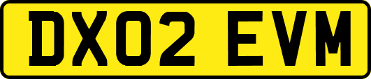 DX02EVM