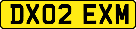 DX02EXM