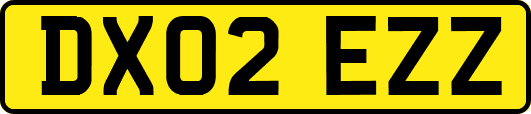 DX02EZZ