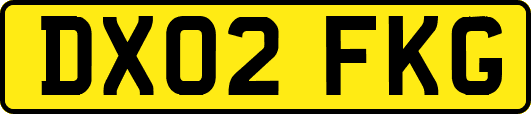 DX02FKG
