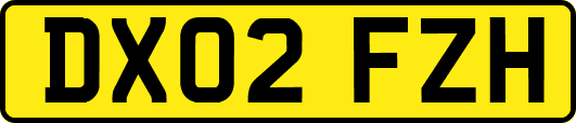 DX02FZH