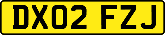 DX02FZJ