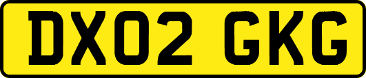DX02GKG