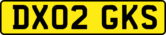 DX02GKS