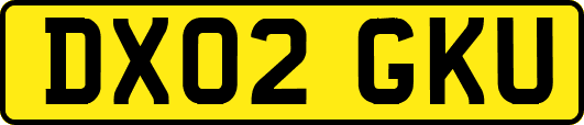 DX02GKU