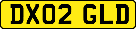 DX02GLD