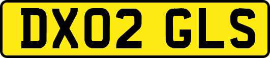 DX02GLS