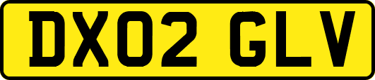 DX02GLV