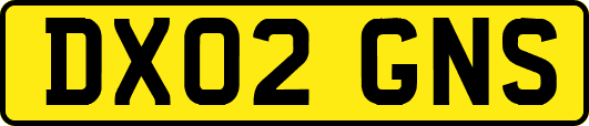 DX02GNS
