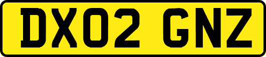 DX02GNZ
