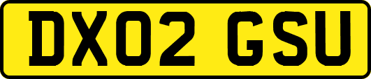 DX02GSU