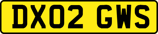 DX02GWS