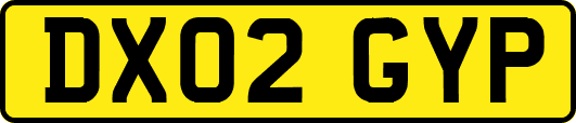 DX02GYP