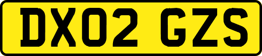 DX02GZS