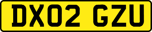DX02GZU