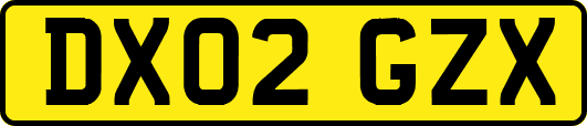 DX02GZX