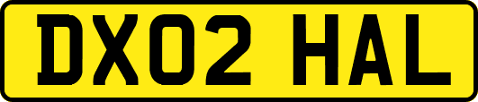 DX02HAL