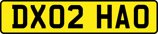DX02HAO