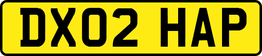 DX02HAP