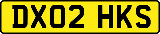 DX02HKS