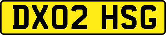 DX02HSG
