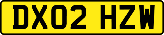DX02HZW