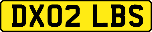 DX02LBS