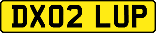 DX02LUP