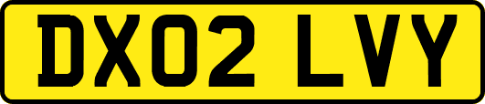 DX02LVY