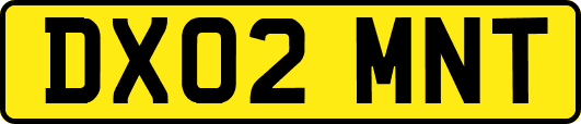DX02MNT