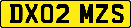 DX02MZS