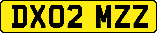 DX02MZZ
