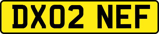 DX02NEF