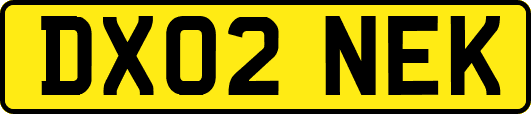 DX02NEK