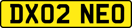 DX02NEO