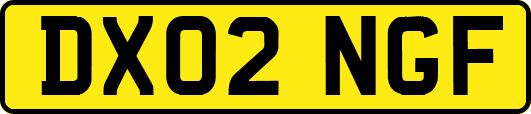 DX02NGF