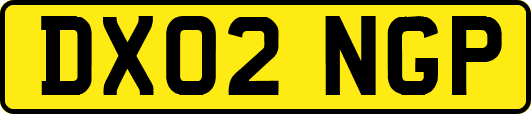 DX02NGP