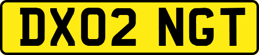 DX02NGT