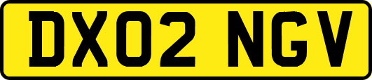DX02NGV
