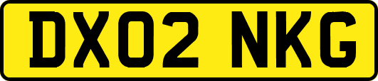 DX02NKG