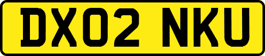 DX02NKU