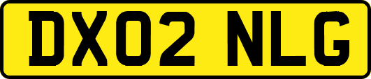 DX02NLG