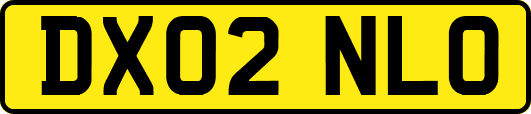 DX02NLO