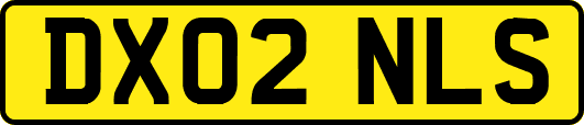 DX02NLS